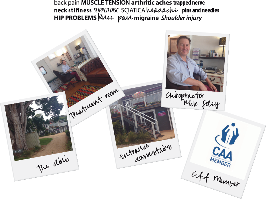 Dr Nicholas Foley Chiropractor Rye 3941 HealthShare